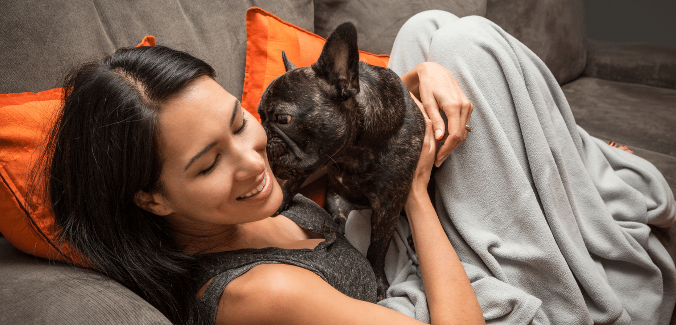 best dog breeds for apartment